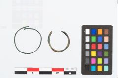 Foto von Bronzering (NHMW-PRAE-026419)